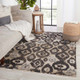 Jaipur Living Sanaa By Nikki Chu SBC03 Livio Area Rug