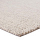 Jaipur Living Scandinavia Dula SCD06 Braiden Rug
