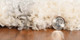 Kas Merino 6701 Ivory Grey Southern Rug