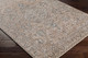 Surya Carlisle CSI-2305 Area Rug