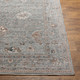Surya Carlisle CSI-2310 Area Rug