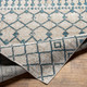 LivaBliss Lavadora LVR-2340 Area Rug