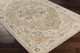Surya Reina REN-2305 Area Rug