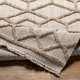 Livabliss Zaragoza ZRZ-2309 Rug