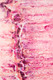 Dalyn Kikiamo KK16 Flamingo Rug
