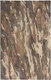 Feizy Amira 8632F Brown Rug