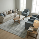 Amer Affinity AFN-1 Londyn Silver Rug