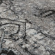 Amer Alexandria ALX-49 Chaves Gray Rug