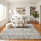 Amer Berlin BER-2 Parsall Light Gray Rug