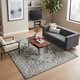 Amer Boston BOS-61 Ilford Gray Rug