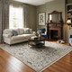 Amer Bristol BRS-30 Fareford Silver Gray Rug