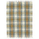 Amer Hampton HMP-1 Chandler Olive Rug