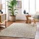 Livabliss Brea BRR-2300 Area Rug