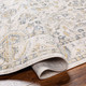 Livabliss Chicago CHG-2300 Area Rug