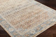 Surya Chicago CHG-2304 Area Rug