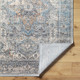 Livabliss Chicago CHG-2312 Area Rug