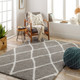 LivaBliss Cloudy shag CDG-2313 Rug