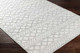 Surya Napoli NPO-2312 Area Rug