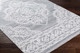 Surya Piazza PZZ-2301 Area Rug