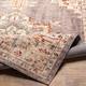 LivaBliss Truva TRV-2300 Area Rug
