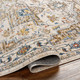 Livabliss Truva TRV-2305 Area Rug