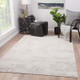 Jaipur Living Cirque CIQ10 Rug