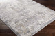 Livabliss Norland NLD-2301 Rug