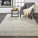 Feizy Belfort 8667F Ivory Gray Rug