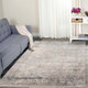 Amer Venice VEN-4 Frisco Gray Gold Rug