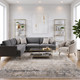 Amer Venice VEN-4 Frisco Gray Gold Rug