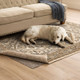 All Pet Rug Pad