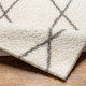 LivaBliss Cloudy shag CDG-2317 Area Rug