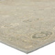 Jaipur Living Revolution REL11 Williamsburg Rug