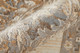 Feizy Celene 39KZF Tan Ivory Brown Area Rug