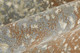 Feizy Clio 39K5F Gray Brown Area Rug