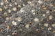 Feizy Dering T6042 Gray Tan Taupe Area Rug