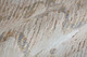 Feizy Laina 39G7F Tan Ivory Blue Area Rug
