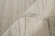 Feizy Longridge T8002 Ivory Tan Area Rug