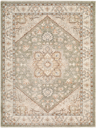 Livabliss Lausanne LNN-2309 Rug - Payless Rugs