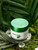 Gerovital Plant Hydra-Active Cream Shot with Electrolytes
