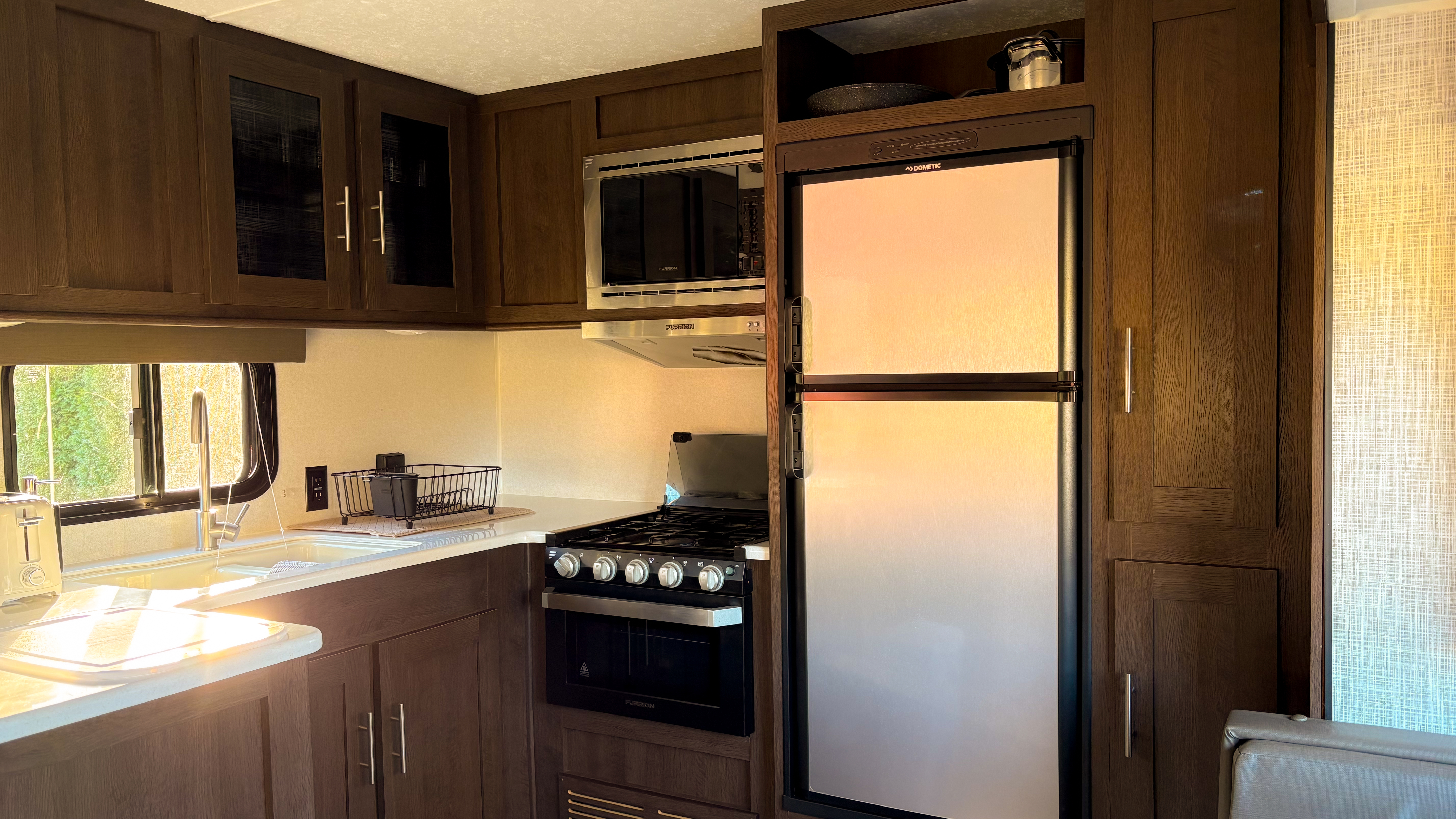 Norman the Highland Bull