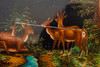 Magic Lantern Slide Ernst Plank 1800s Glass 2 ⅝ x 8 ⅝" Forest Animals Night V13