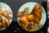 Magic Lantern Slide Ernst Plank 1800s Glass 2 ⅝ x 8 ⅝" Animals in Nature V10