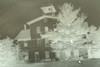 Antique 4x5 Glass Plate Negative Boarding House / Inn (V4434)