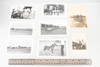 Horse & Racing Vintage Black and White Photo Lot Photograph Collection V21