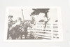 Horse & Racing Vintage Black and White Photo Lot Photograph Collection V21