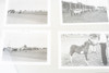 Horse & Racing Vintage Black and White Photo Lot Photograph Collection V21