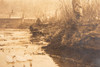 Woman on Farm Feeding Ducks in Pond Antique Photo Cabinet Card V13