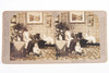 Rain in the Parlor Stereoview Photo No 4688 C.H. Graves V10