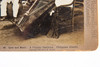 Love and Music Philippine Islands Stereoview Photo No 99 C.H. Graves V10